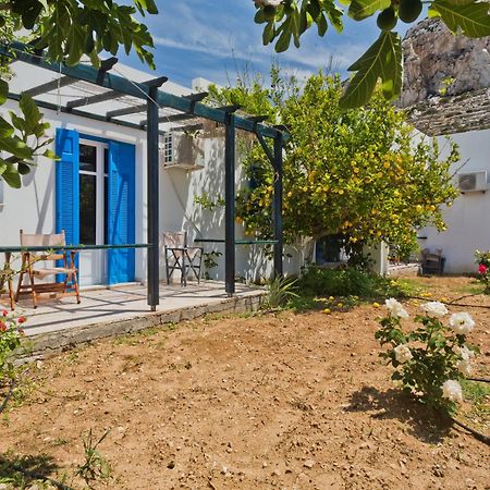 לפקוס קרפתאו Pleiades Apartments מראה חיצוני תמונה