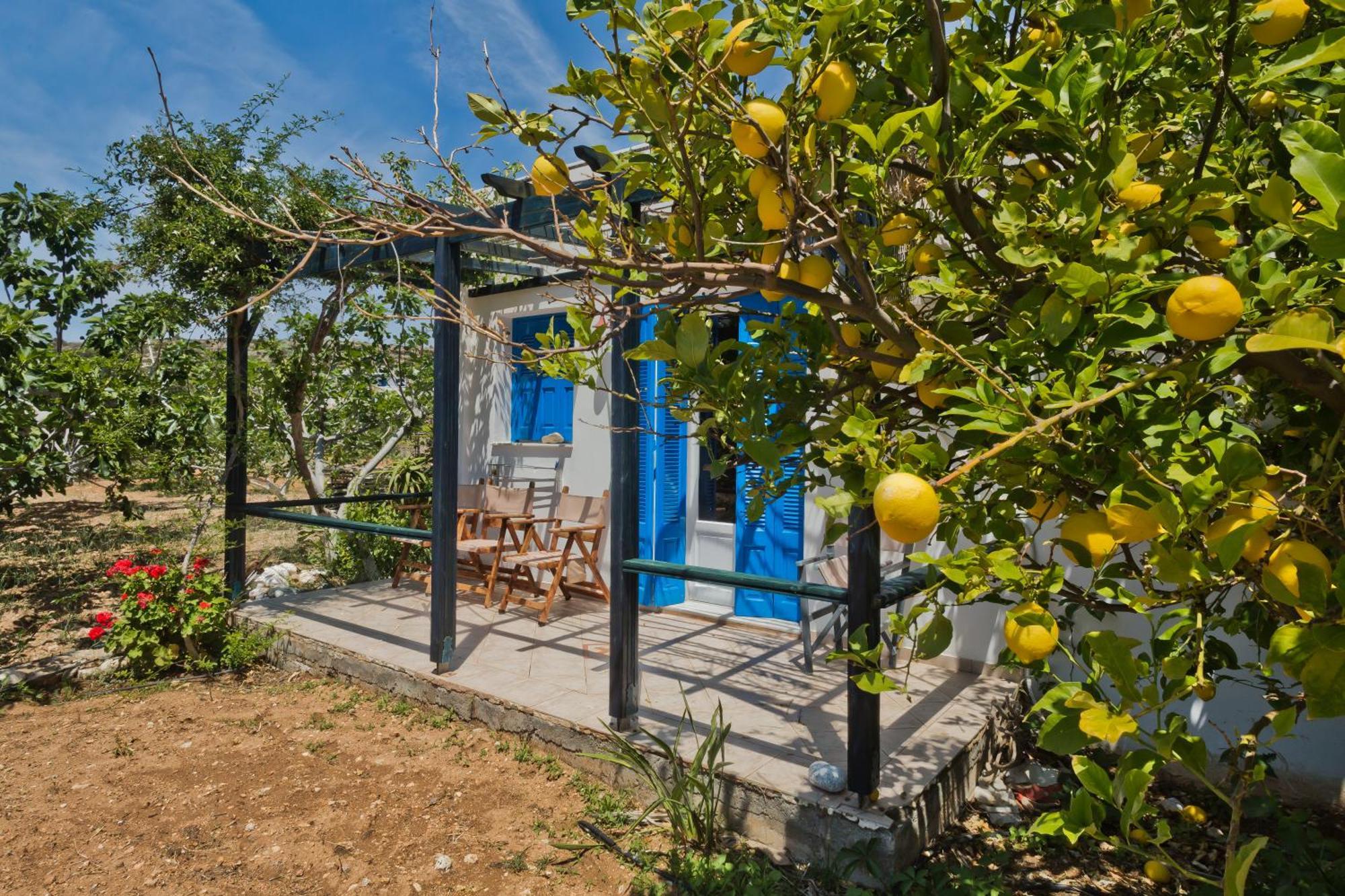 לפקוס קרפתאו Pleiades Apartments מראה חיצוני תמונה